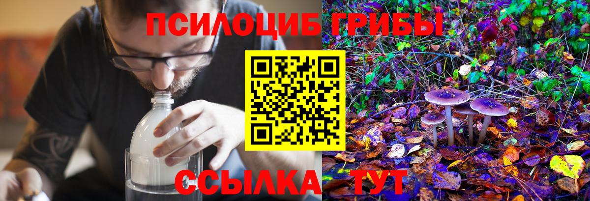 Галлюциногенные грибы Psilocybine cubensis  Вход с VPN  Александров  Галлюциногенные грибы Psilocybine cubensis 