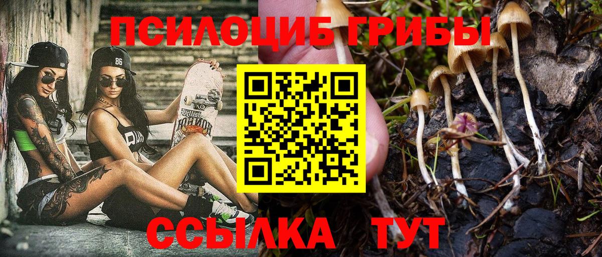 Галлюциногенные грибы ЛСД Александров